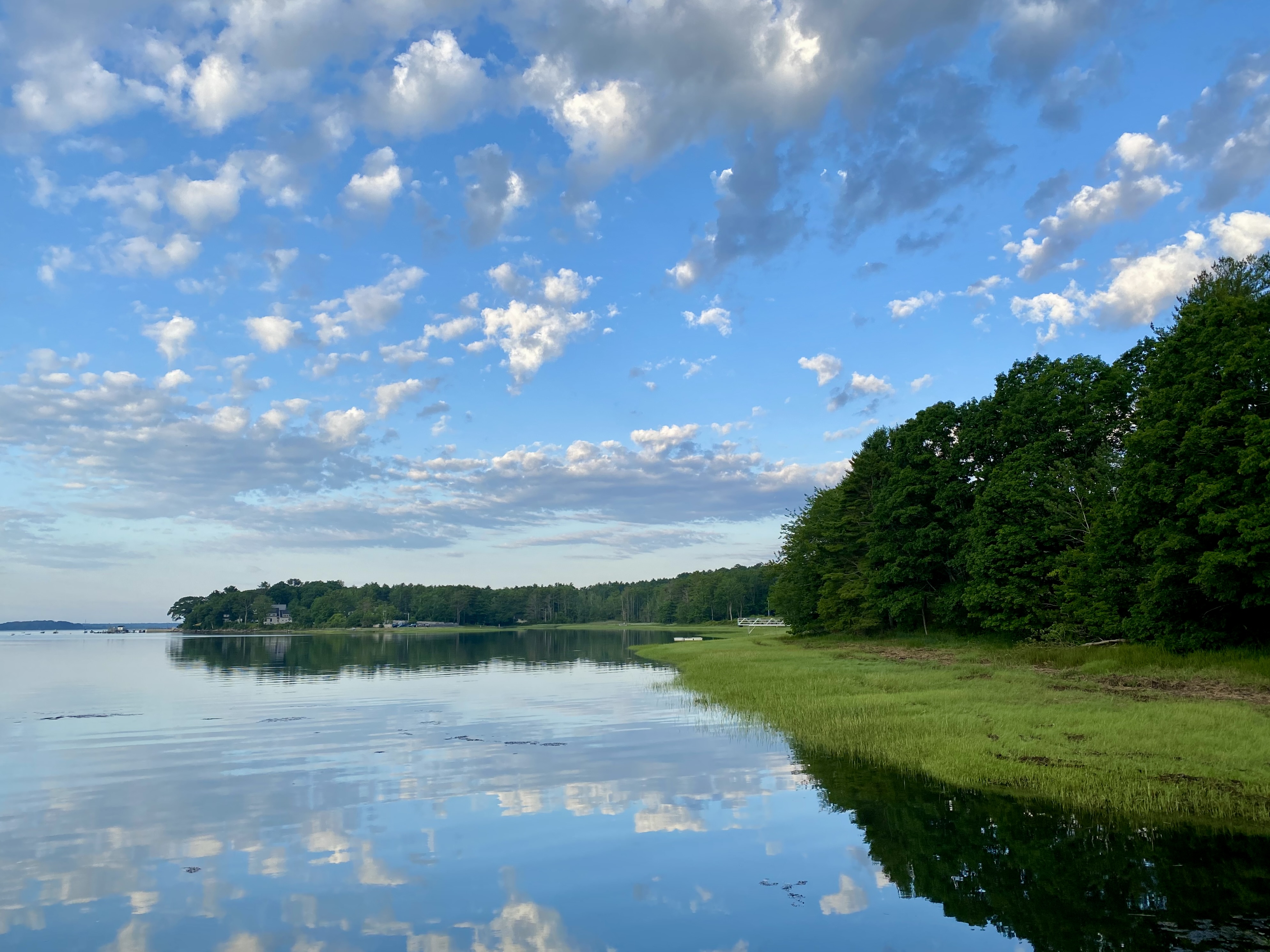 The bay off Littlejohn Island, with reflective water, marsh grass, and clouds