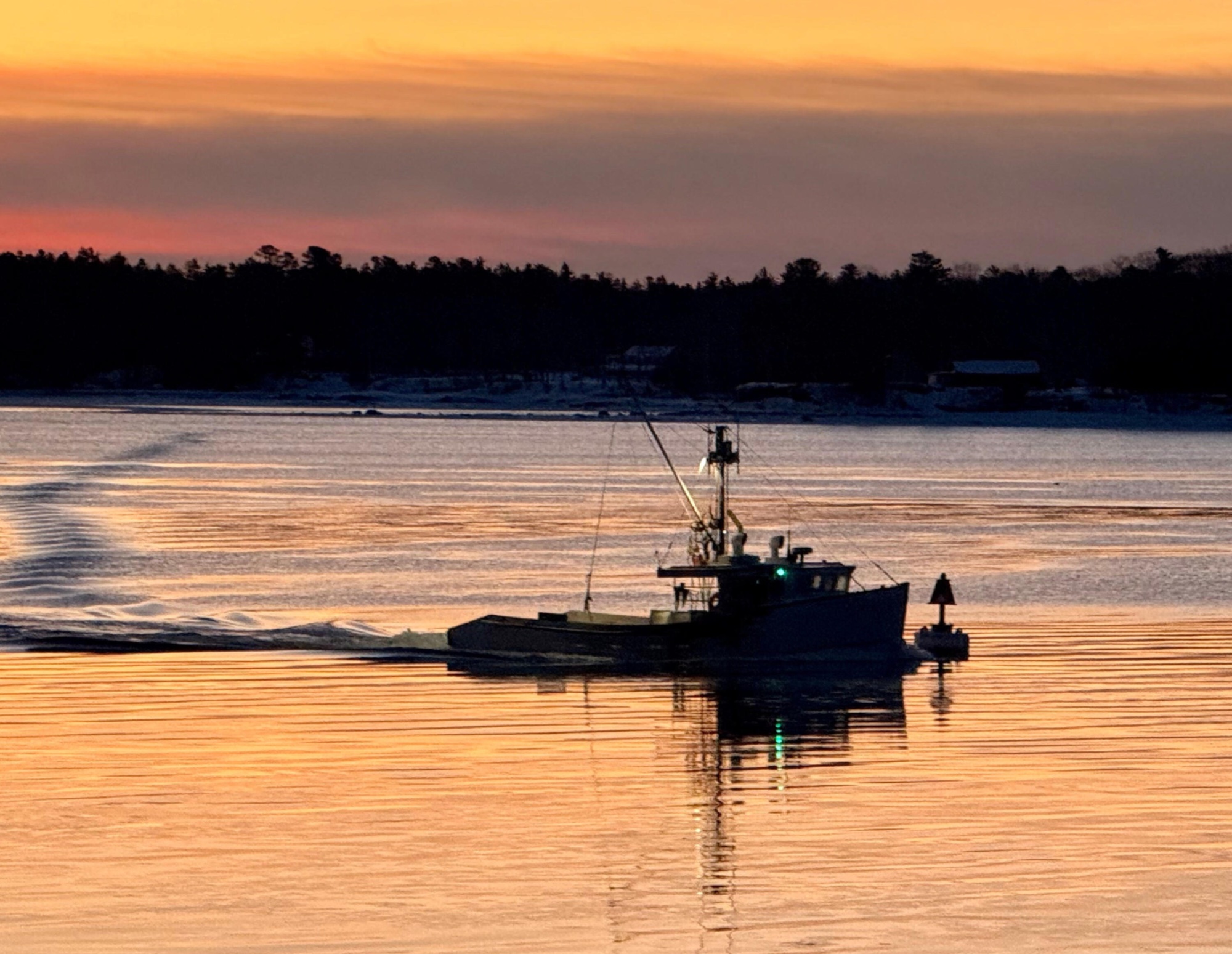 Maine coast at dawn